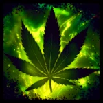 weed rasta keyboard android application logo